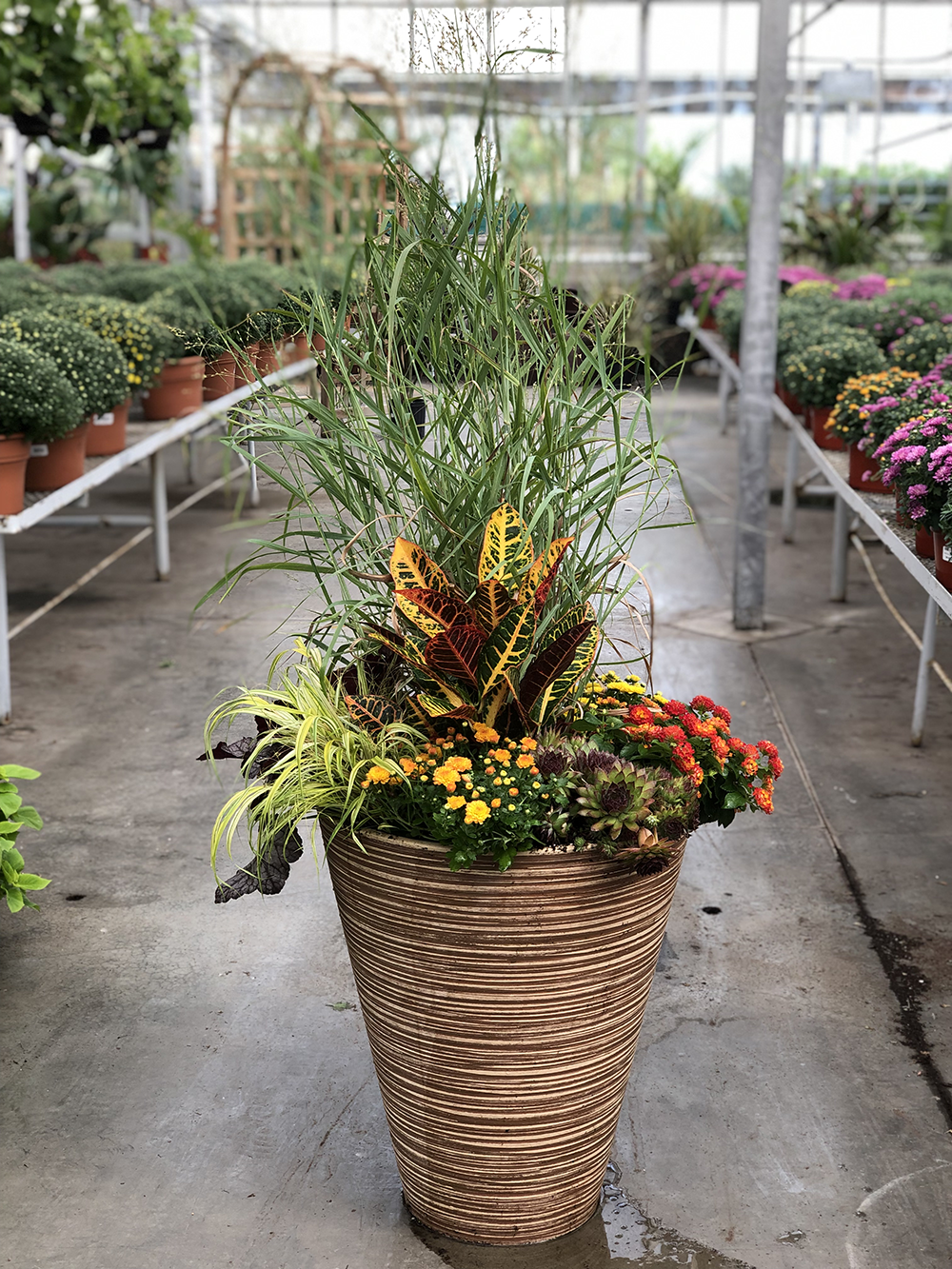 Fall Container Garden Design Services at Plant Perfect