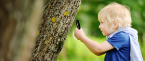 boy looking with magnifying glass Plant Perfect Garden Center