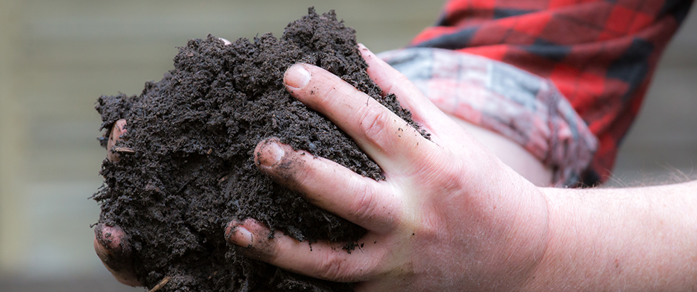 holding soil in hands Plant Perfect Garden Center