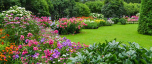beautiful summer garden Plant Perfect Garden Center