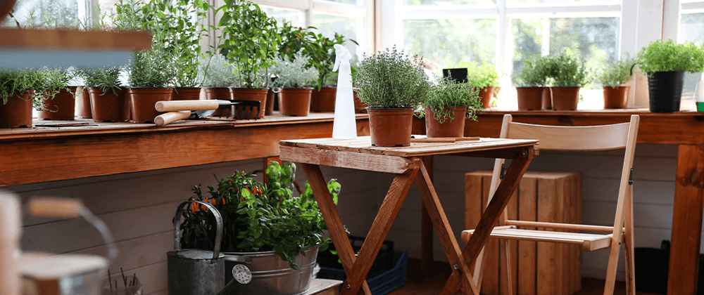 plants on table indoors Plant Perfect Garden Center