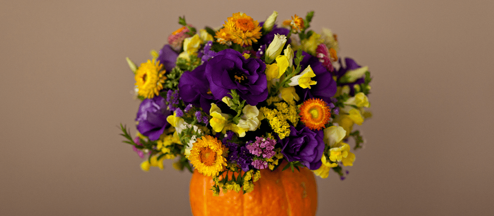pumpkin filled with assorted flowers Plant Perfect Garden Center
