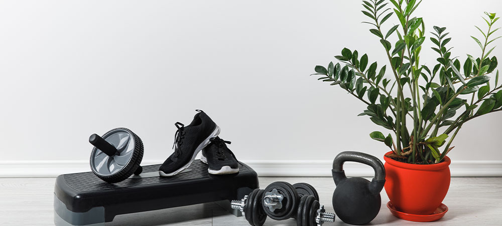 Plant Perfect Garden Center exercise equipment with ZZ plant in red pot