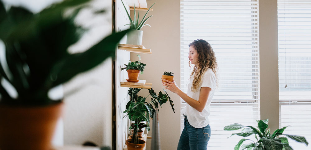 woman with wall of plants Plant Perfect Garden Center