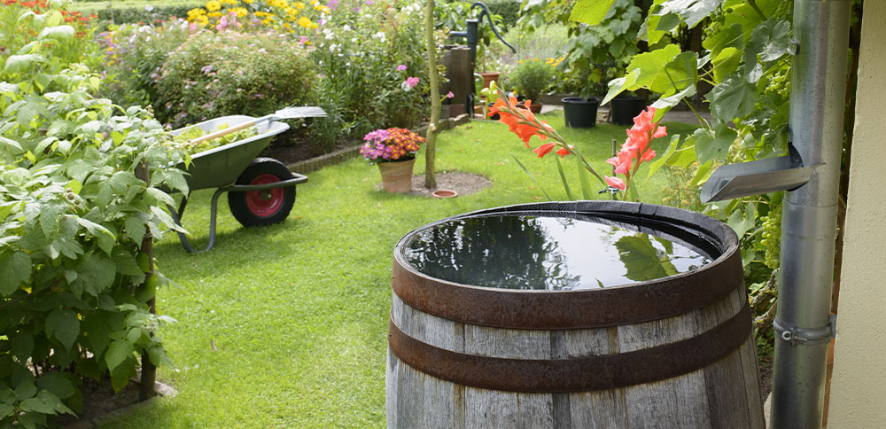 rainwater collection for gardening Plant Perfect Garden Center