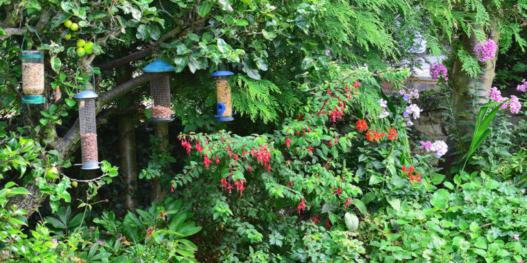 multiple bird houses above colorful garden Plant Perfect Garden Center