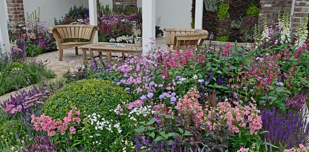 summer garden blooming pinks and purples Plant Perfect Garden Center