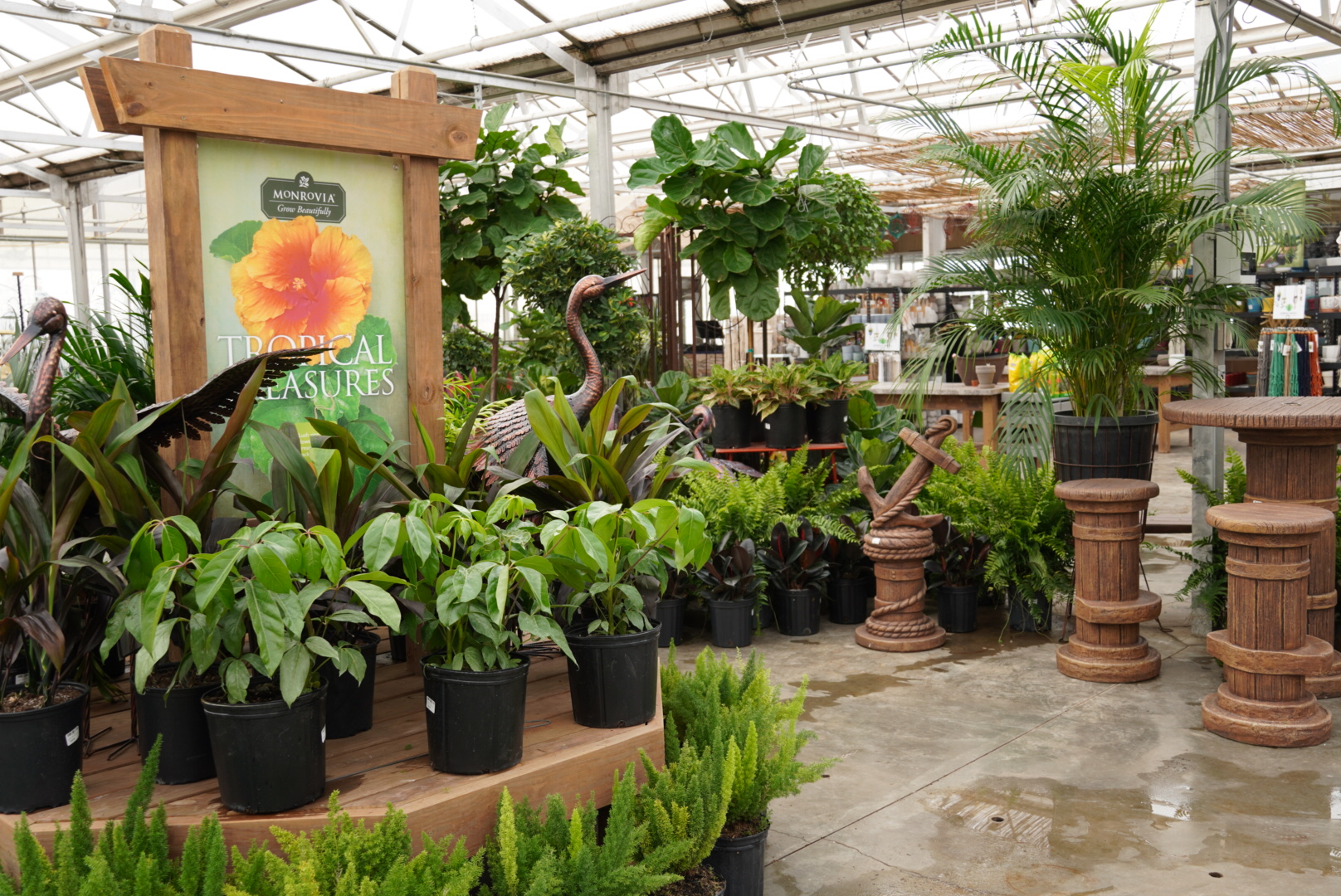 garden center | plant perfect