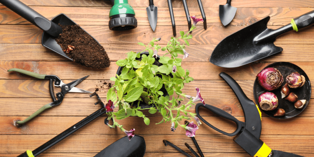 gardening tools and petunia plant Plant Perfect Garden Center