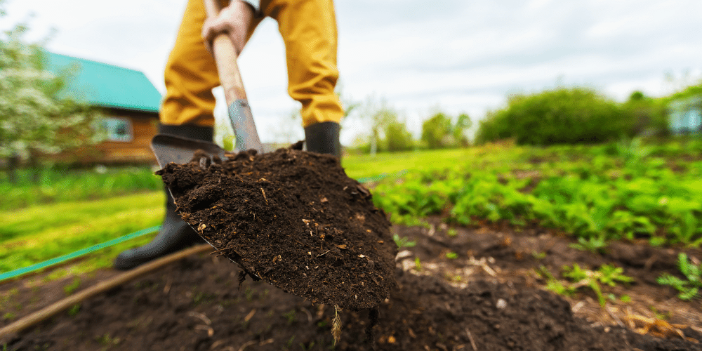 digging a hole in the garden Plant Perfect Garden Center