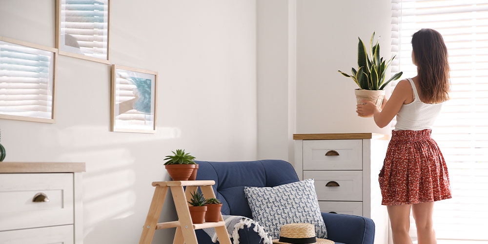 woman placing plant on dresser Plant Perfect Garden Center