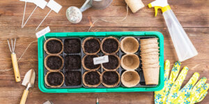 Plant Perfect Garden Center seed starting supplies like trays, cells, spray bottle, seeds, gloves