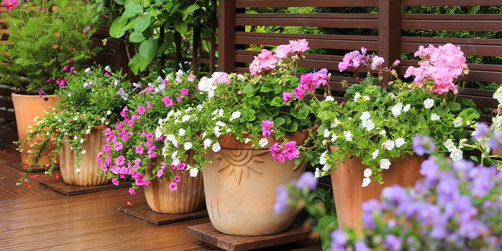 Your Pots For Spring Planting, How To Prepare Outdoor Pots For Planting