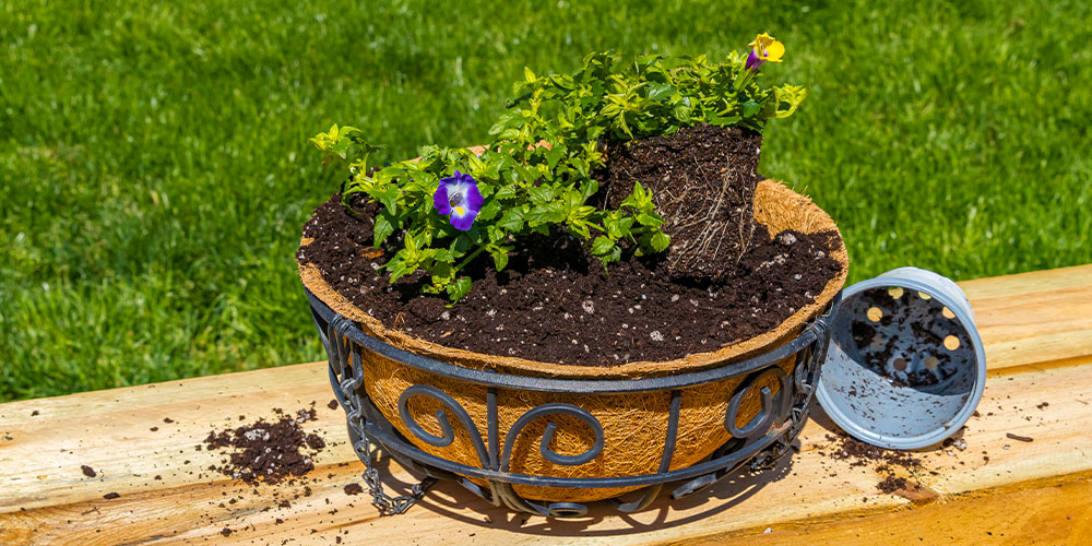 Your Pots For Spring Planting, How To Prepare Outdoor Pots For Planting