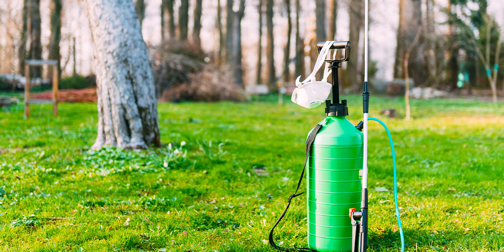 lawn sprayer with mask Plant Perfect Garden Center