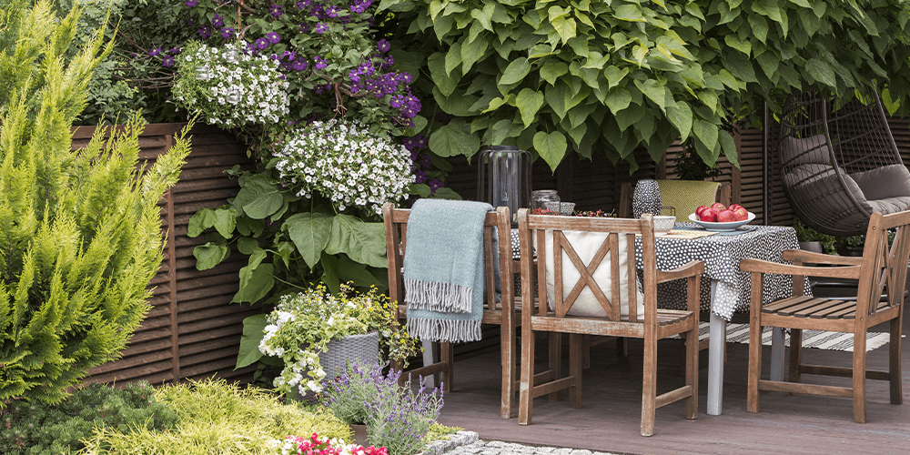 comfy spot in backyard Plant Perfect Garden Center