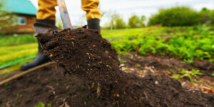 Plant Perfect-Garden Soil and Topsoil—What’s the Difference-shovelling top soil into garden