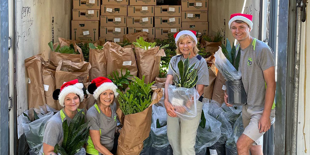 Plant Perfect-Happy New Year Heartfelt Letter-staff at plant perfect