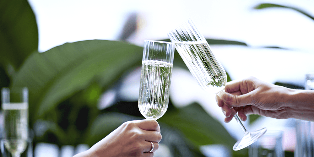 -cheers to you from plant perfect garden center