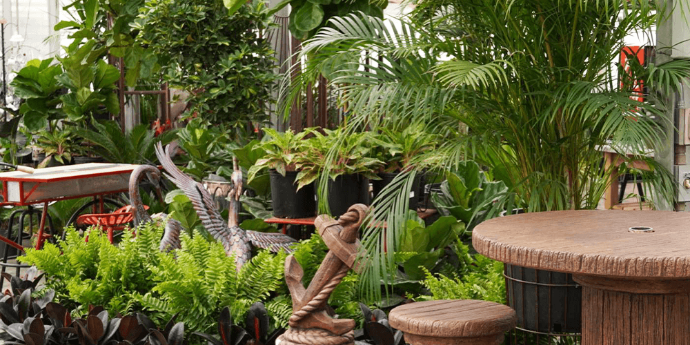 -inside the greenhouse at plant perfect