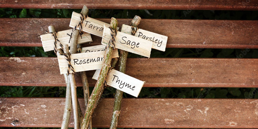 Plant Perfect DIY Clothespin Garden Markers -herb identity tags