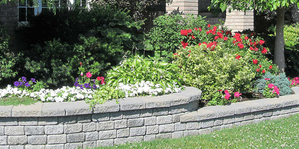 -rock retaining wall in garden plant perfect garden center