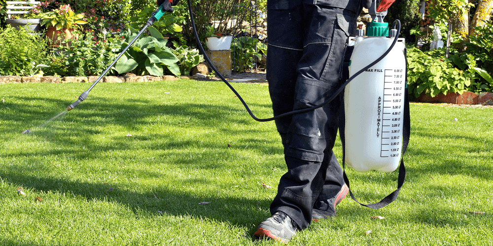 Plant Perfect Garden Center-applying pre emergent herbicide