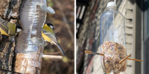 Plant Perfect Garden Center-Bismarck -DIY Bird Feeders -plastic bottle bird feeder