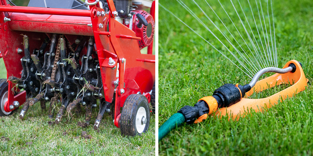 Plant-Perfect-Garden-Center---How-to-Identify-and-Remove-Crabgrass-in-North-Dakota--sprinkler and aeration machine for lawn care