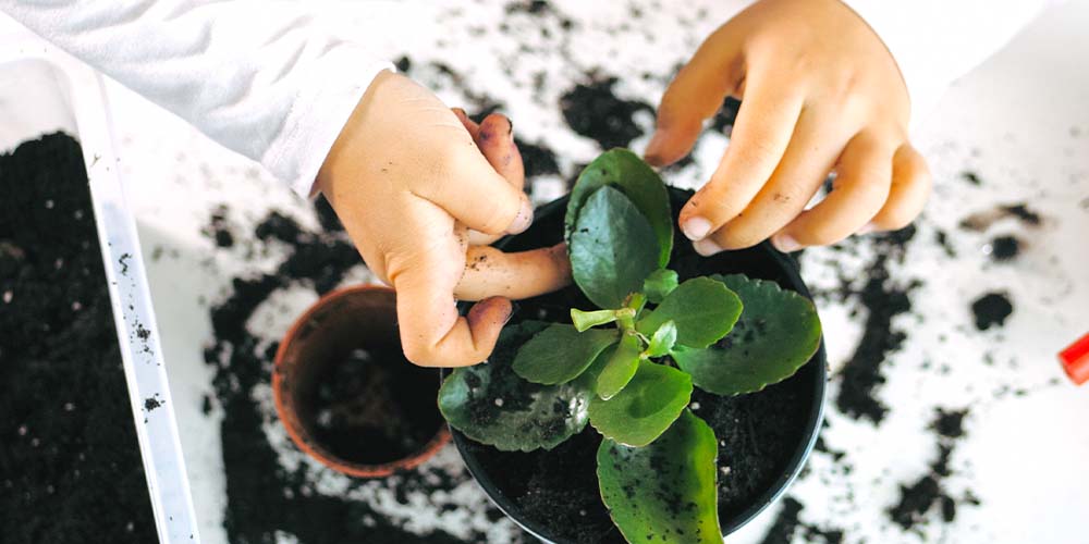 Plant Perfect Garden Center-Bismarck-3 Indoor Gardening Activities For Kids-child planting houseplant