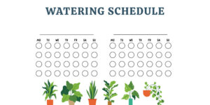 Plant Perfect Garden Center-Bismarck-How to Water Houseplants in the Winter-WATERING SCHEDULE