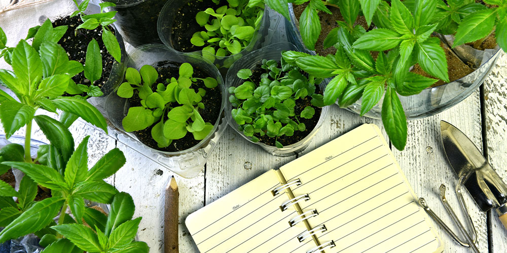 Plant Perfect Garden Center-Bismarck-New Years Resolution For Your Landscape-garden journal