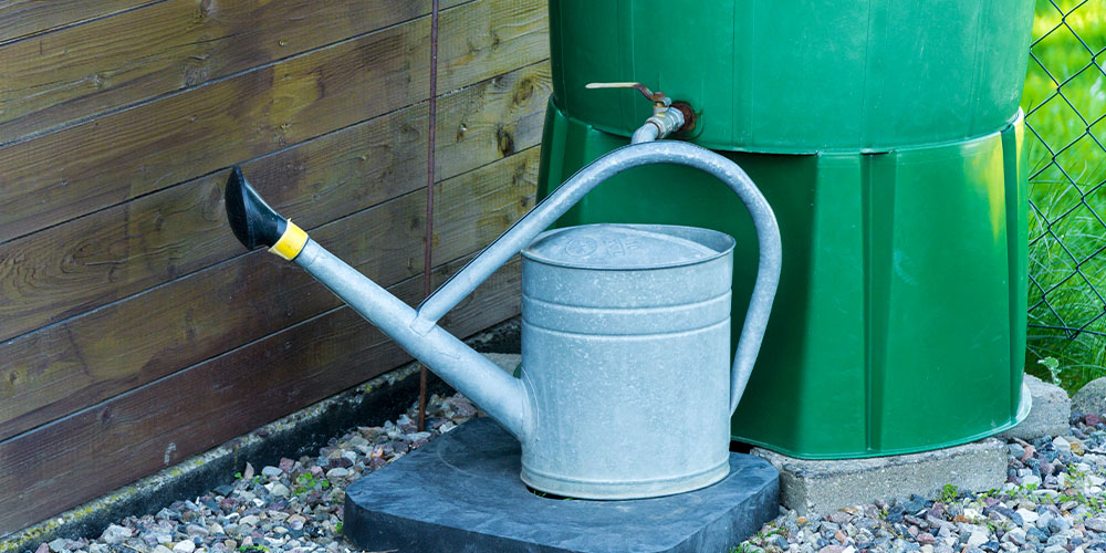 Plant Perfect Garden Center-Bismarck-New Years Resolution For Your Landscape-rain barrel