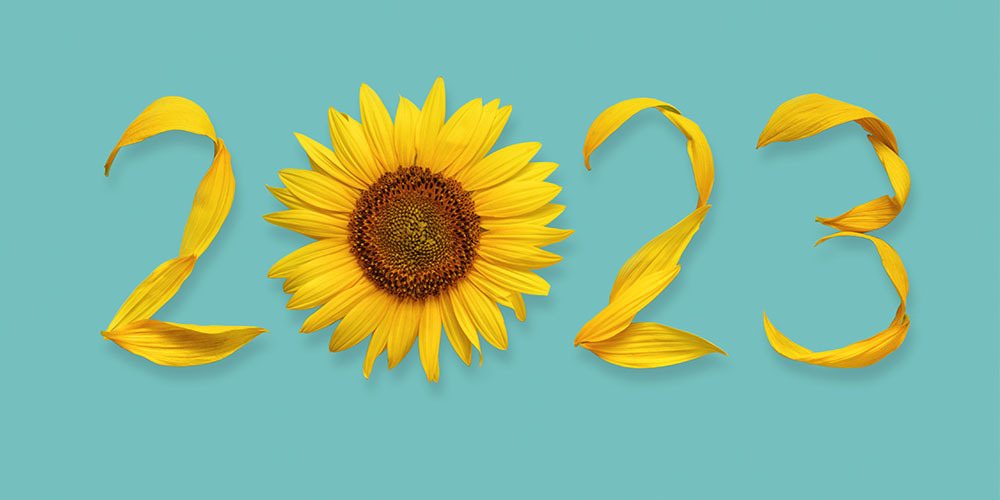 Plant Perfect Garden Center-Bismarck-New Years Resolution For Your Landscape2023 sunflower