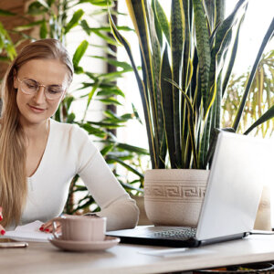 Plant Perfect-Bismarck-The Perfect Houseplant For Every Room in Your Home-snake plant in office