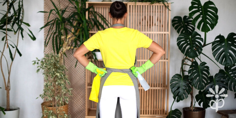 Plant Perfect-Bismarck-Decluttering Your Plants and Supplies for Spring-cleaning houseplants