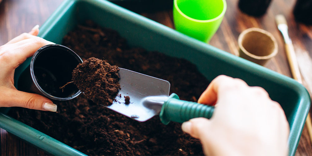Plant Perfect-Bismarck-How to Start Seeding Your Early Vegetables -filling pot with soil
