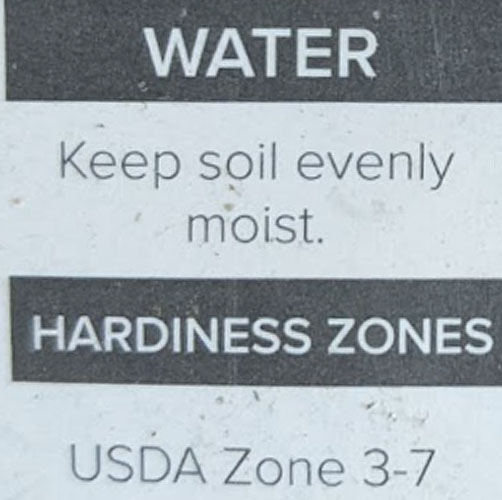 Plant Perfect-Bismarck-How to Understand Plant Tags and Growing Zones-hardiness zone