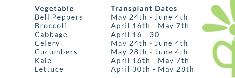 Plant Perfect-Bismarck-Transplanting dates