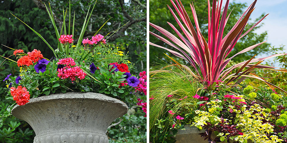 Plant Perfect-Bismarck-North Dakota-Herb and Flower Container Combinations -planter examples