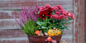 Plant Perfect Garden Center-Bismarck-North Dakota-fall porch planter