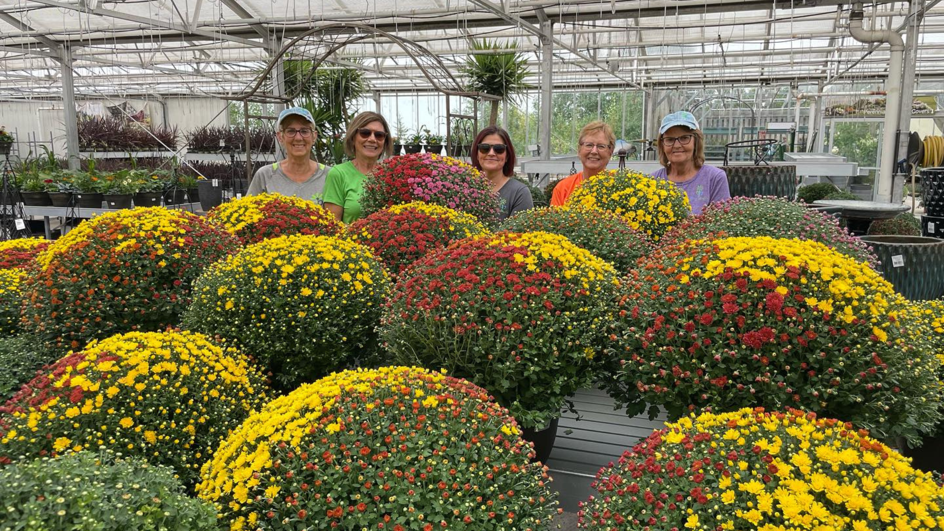 Plant Perfect-Bismarck-North Dakota-Transitioning Your Garden Into Autumn Mode-chrysanthemums