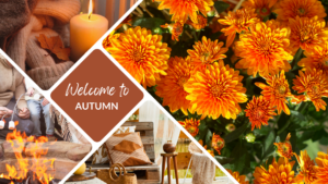 Plant Perfect Garden Center-Bismarck-North Dakota-Autumn Decor Guide