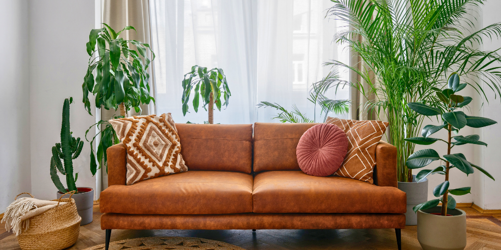 Plant Perfect-Bismarck-North Dakota-New Plant Trends-bohemian style