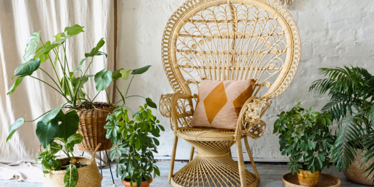 Plant Perfect-Bismarck-North Dakota-New Plant Trends-boho style