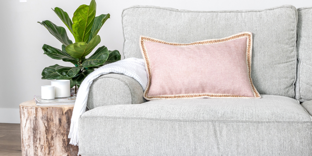 Plant Perfect-Bismarck-North Dakota-New Plant Trends-farmhouse style